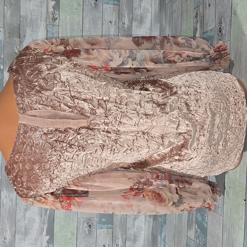 Meadow Rue Velvet Floral Blouse in Brown and Cream Sheer Floral Sleeve X-Small - Picture 4 of 6